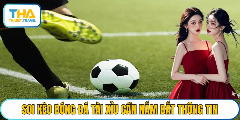 Soi kèo bóng đá ở cược Tài Xỉu cần nắm bắt những thông tin liên quan
